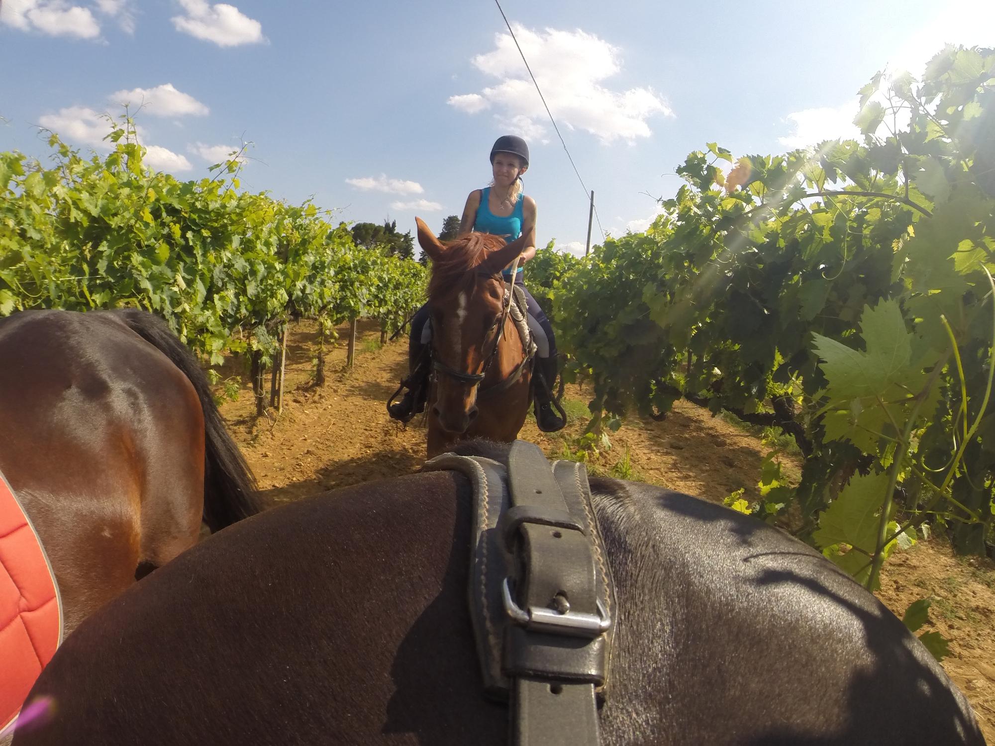 Centro Equestre Tre Laghi