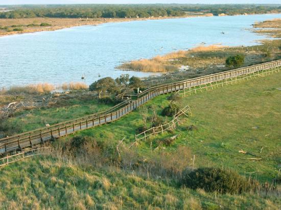 Riserva Naturale Scarlino