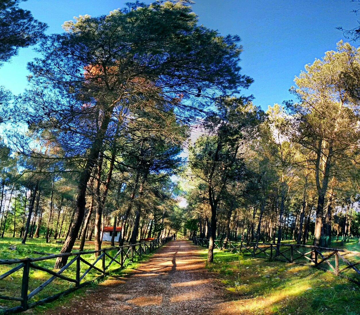 Parco Naturale Selva Reale