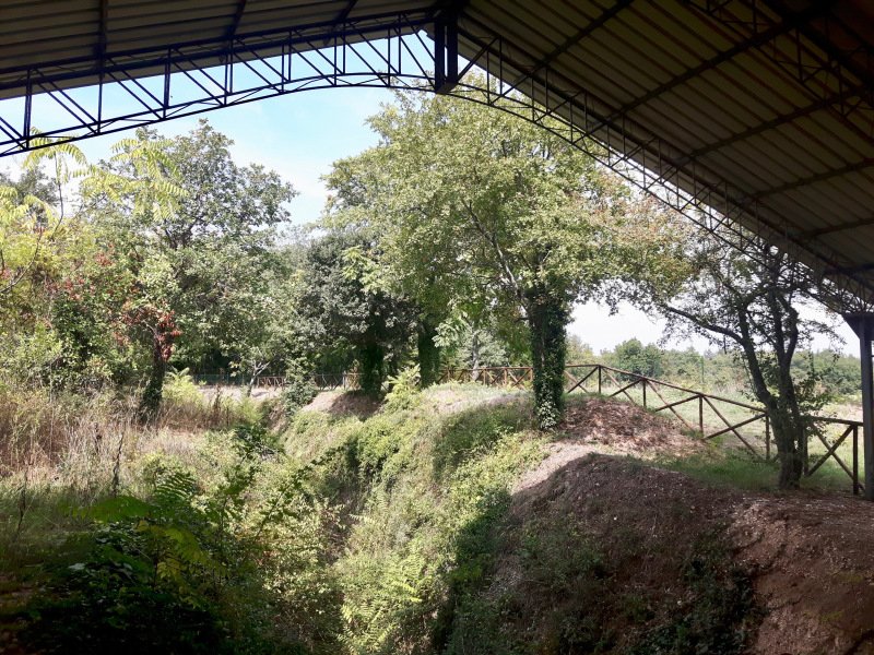 Area archeologica di Conelle di Arcevia