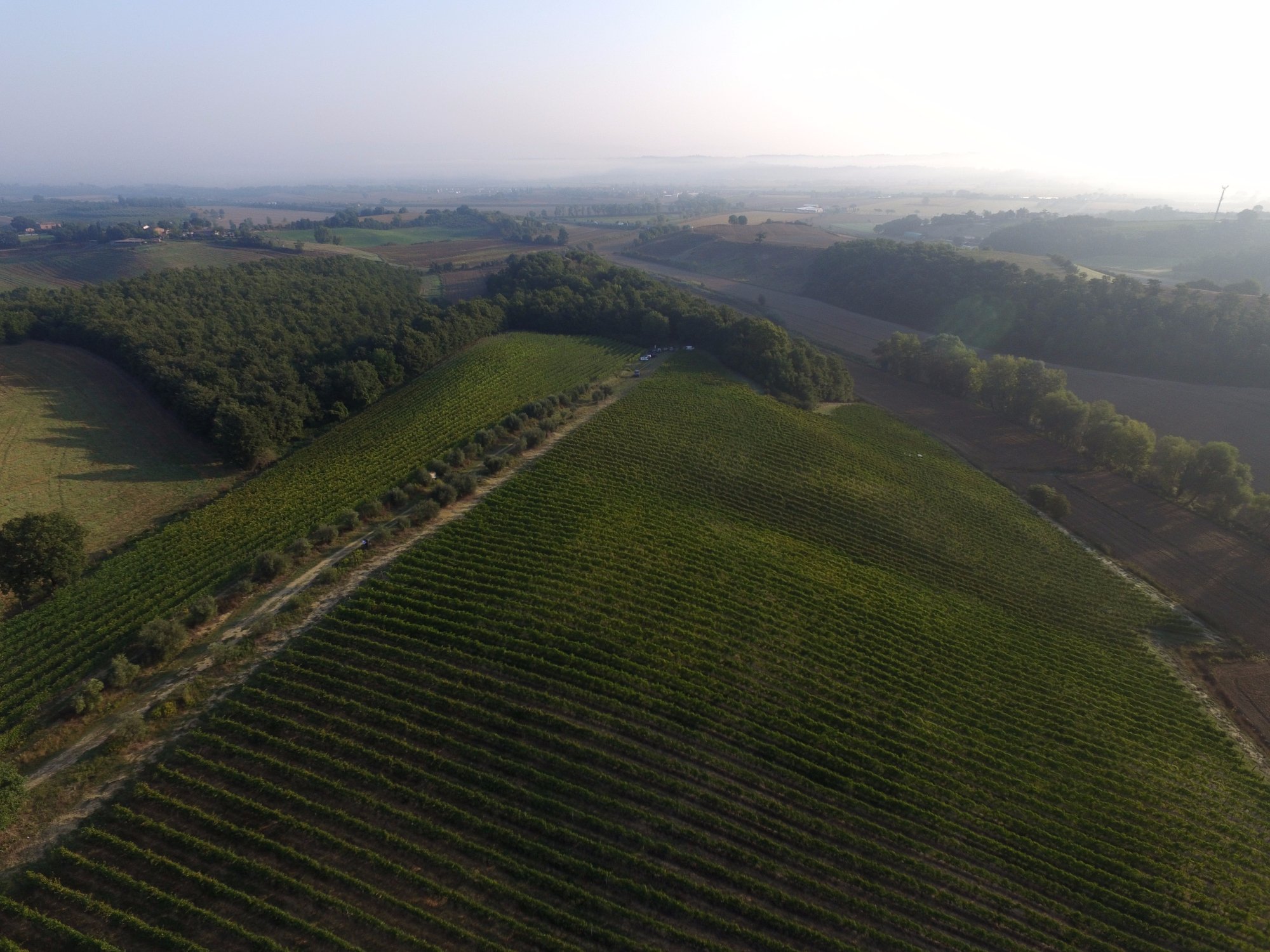 Azienda Agraria San Gregorio