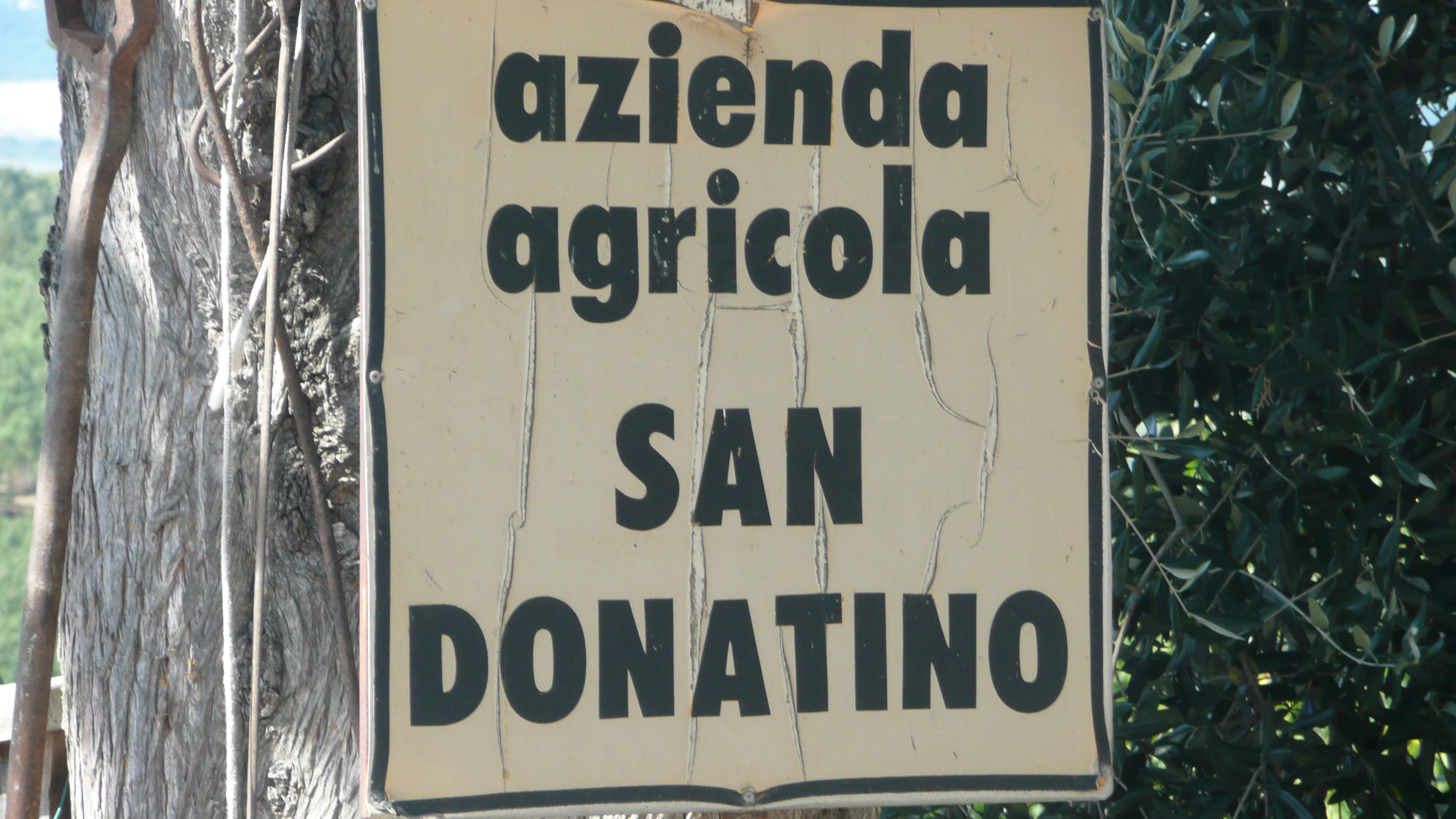 San Donatino