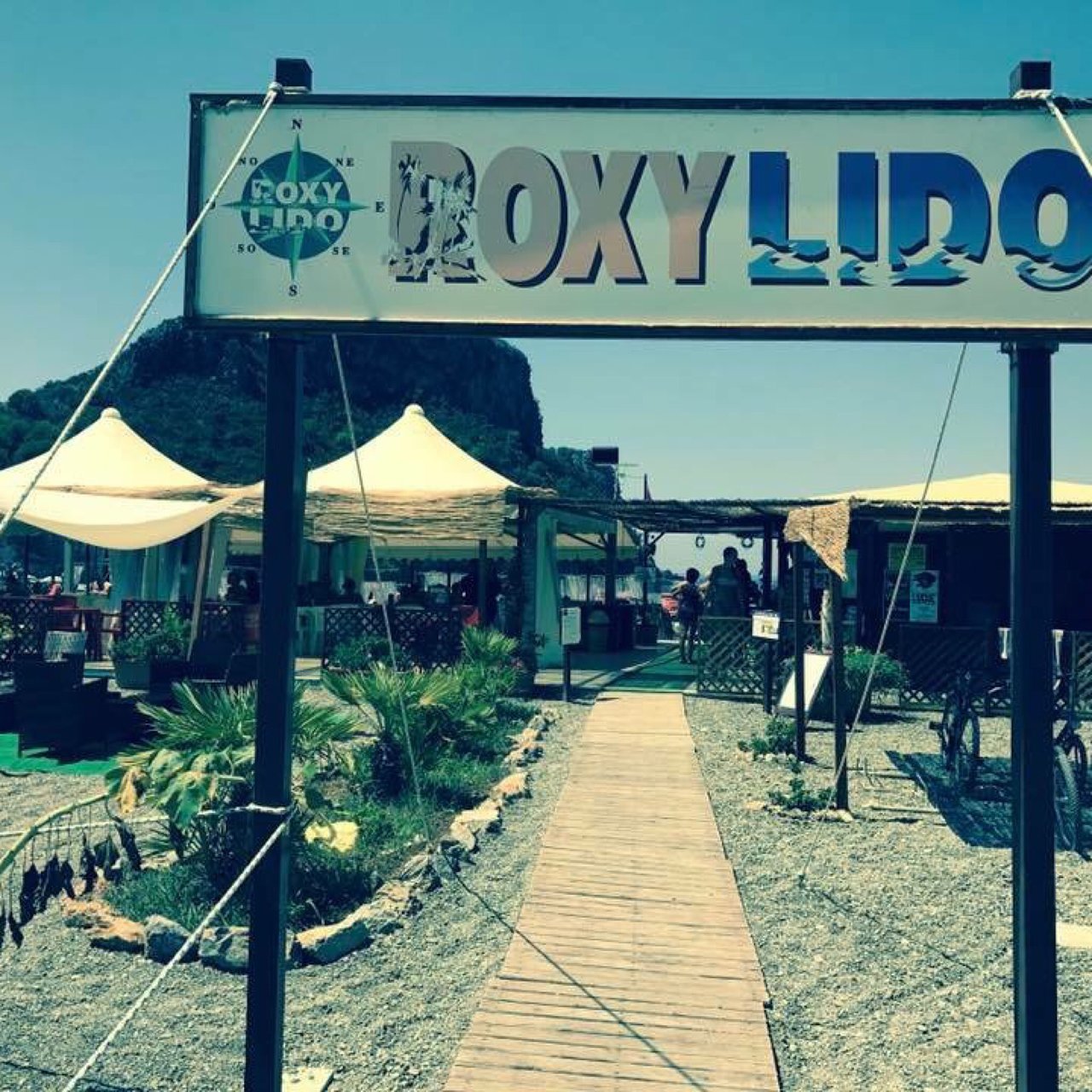 Lido Roxy