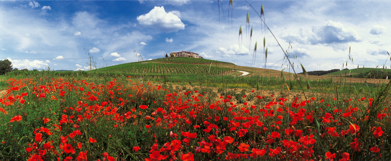 Mazza Società Agricola