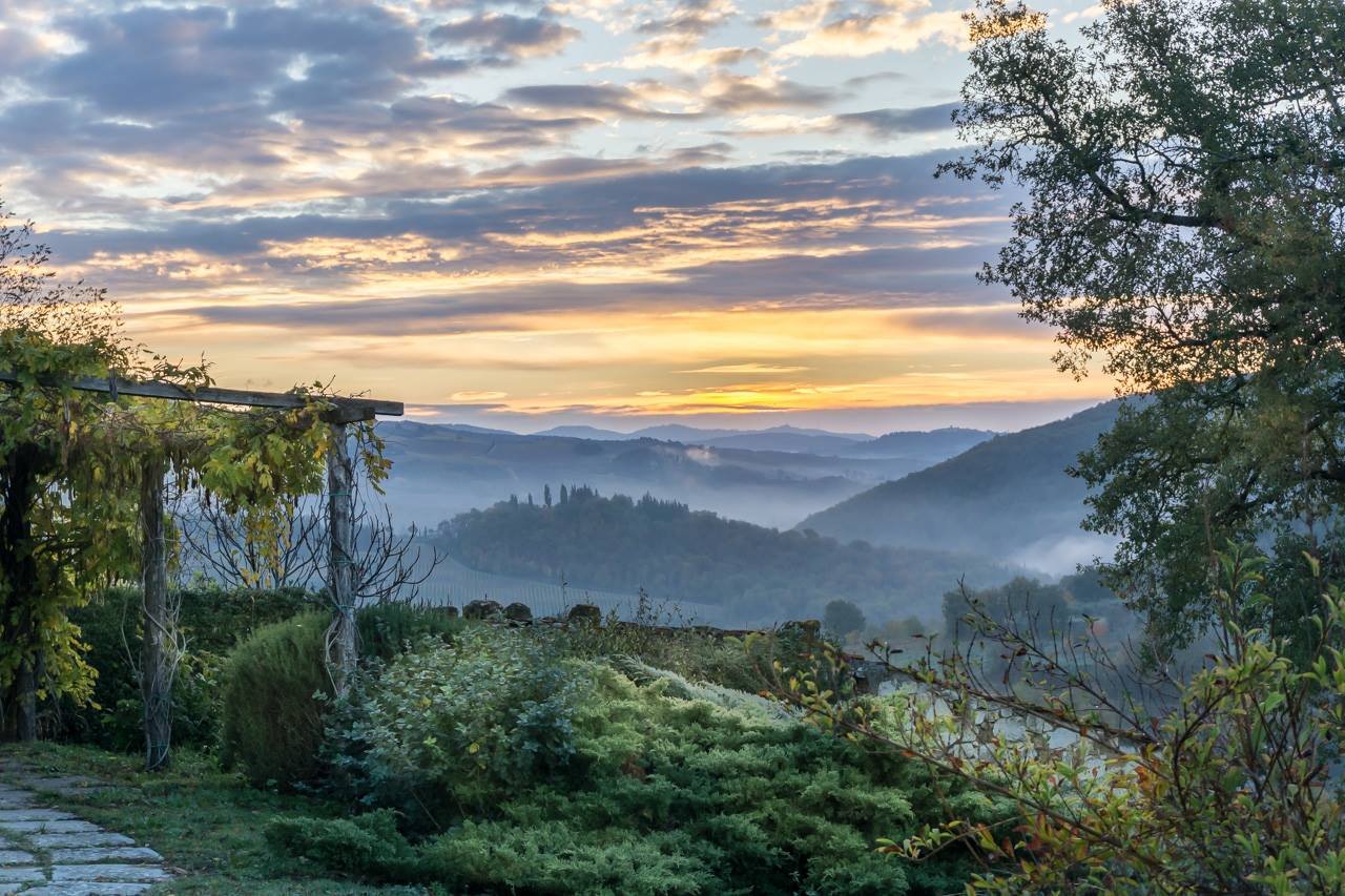 Masseto in Chianti