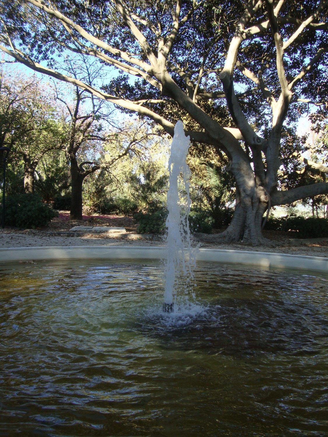 Parco delle Rimembranze