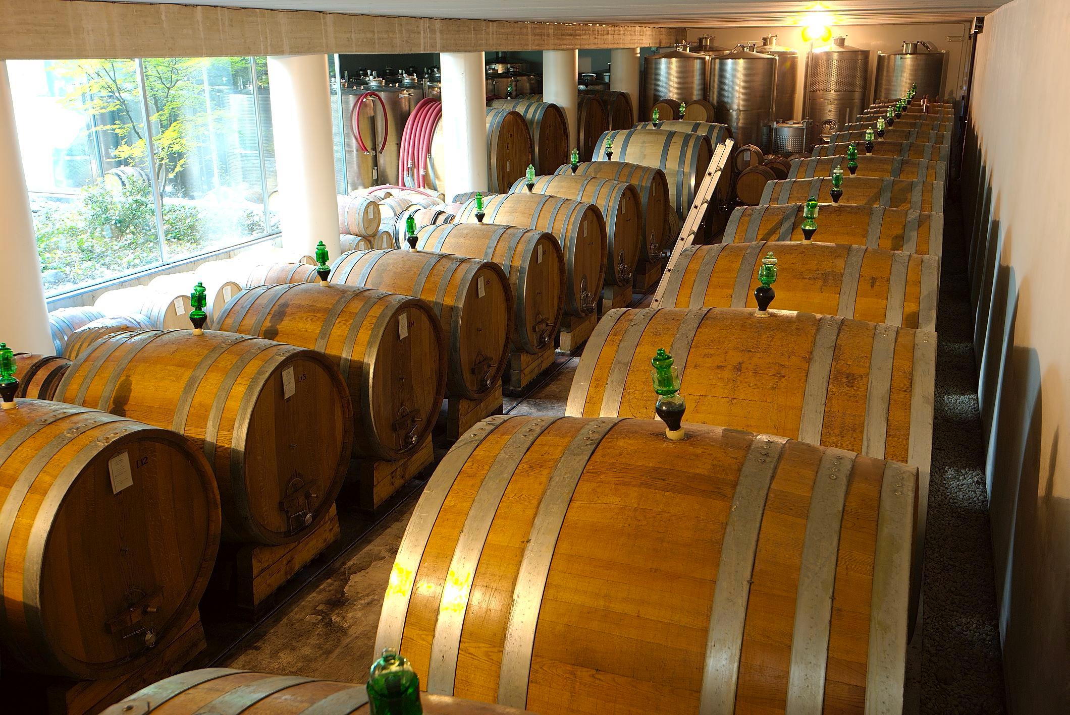 Azienda Agricola G.D. Vajra, Barolo