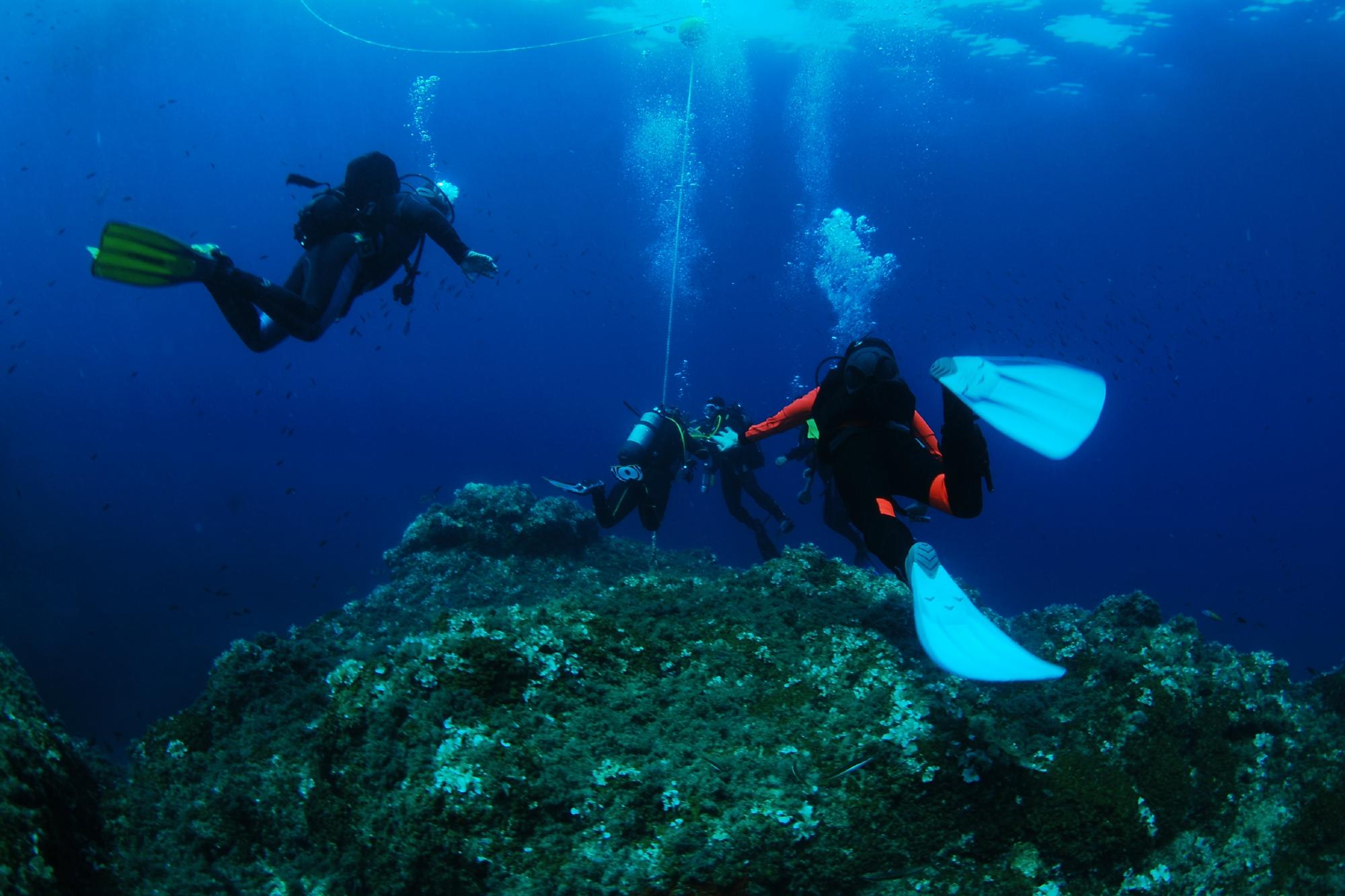 Ischia Diving Orizzonti Blu