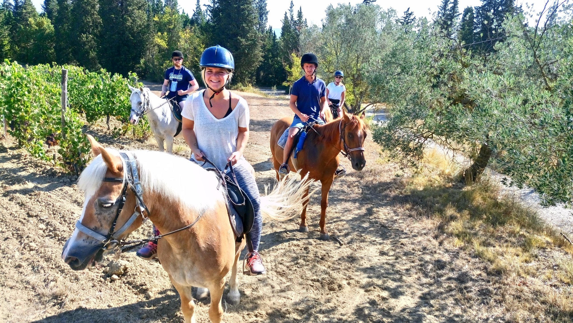 Maneggio Guelfi Neri - Passeggiate a cavallo nel chianti