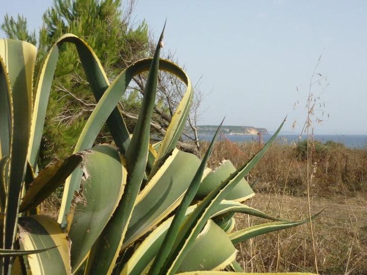 Funtana Meiga Beach