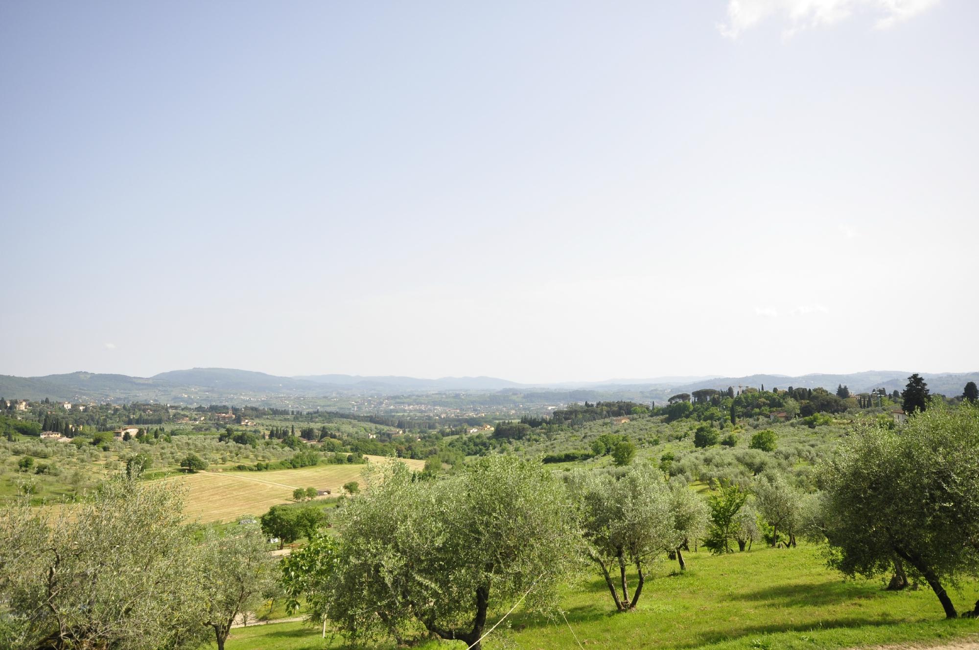 Fattoria di Maiano