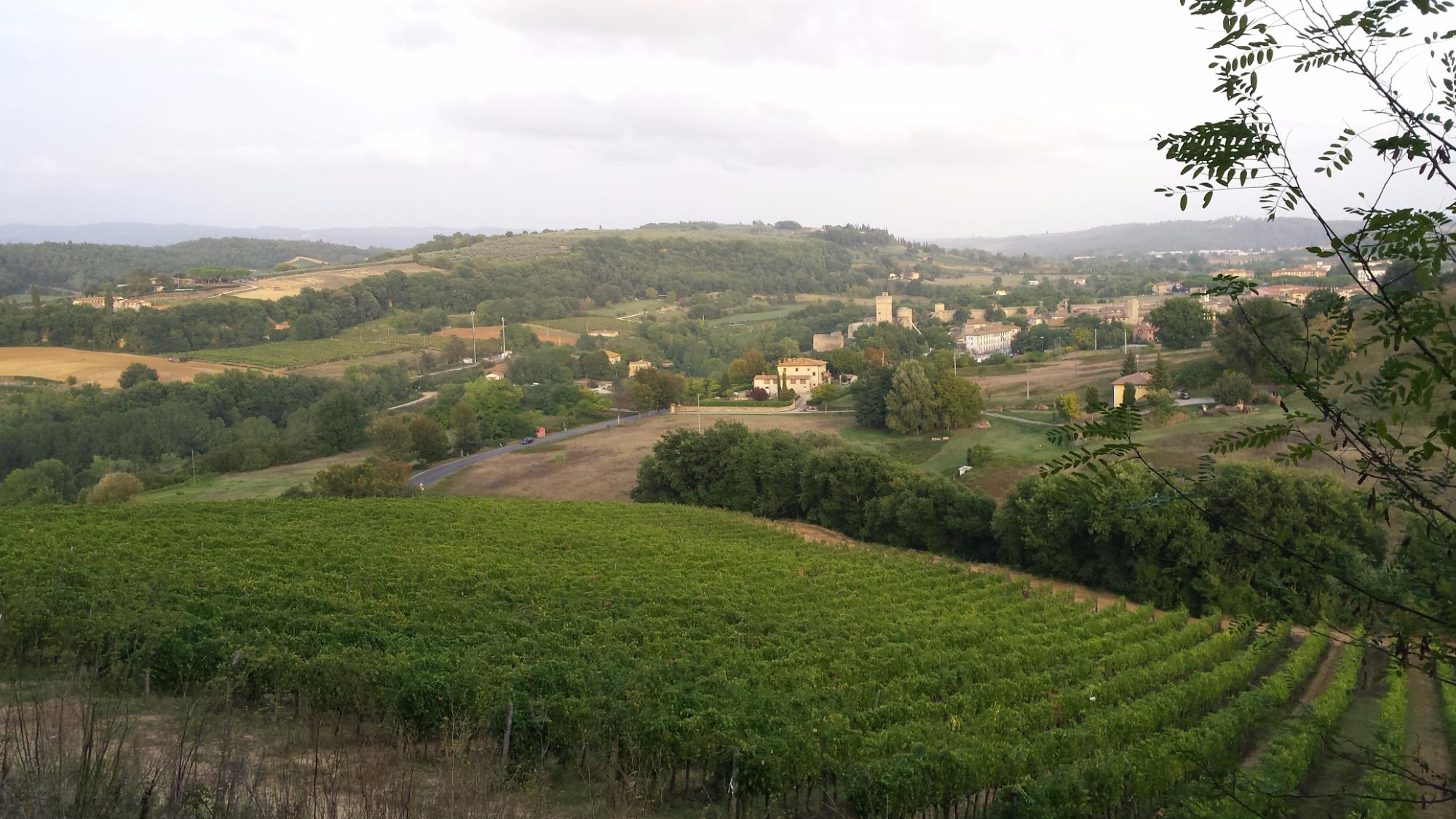 Azienda Agricola Montalpruno