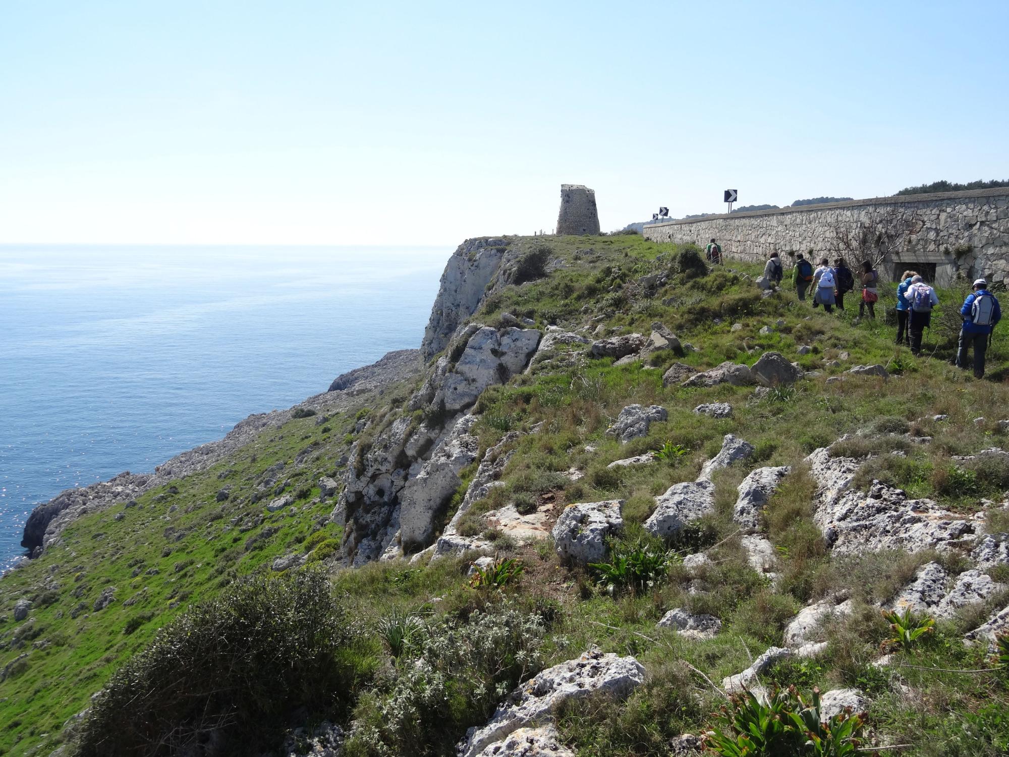 Torre Minervino