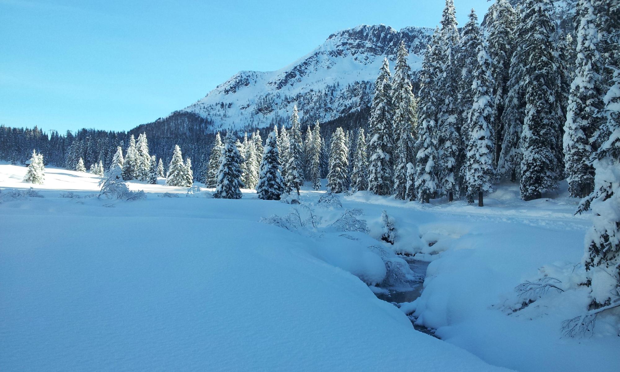 Centro sci di fondo Passo San Pellegrino - Alochet