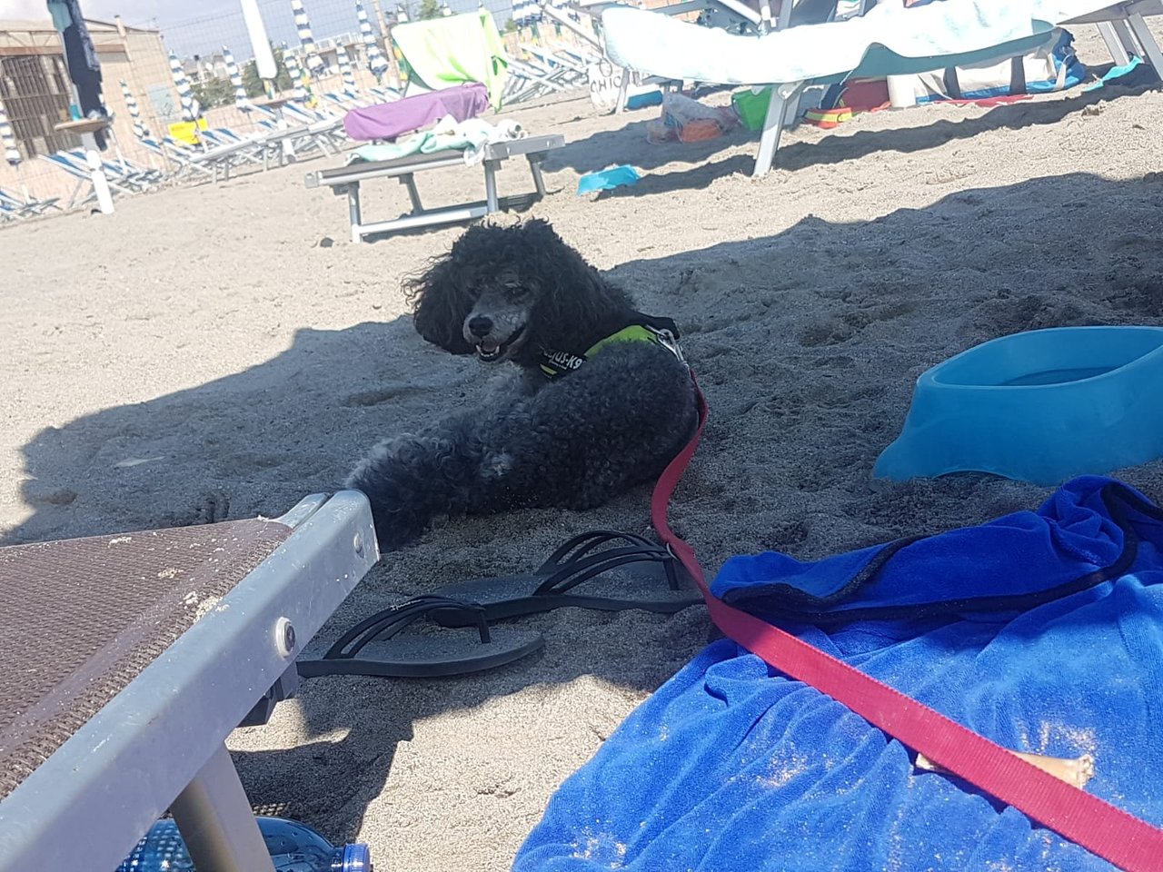 la spiaggia di Pippo