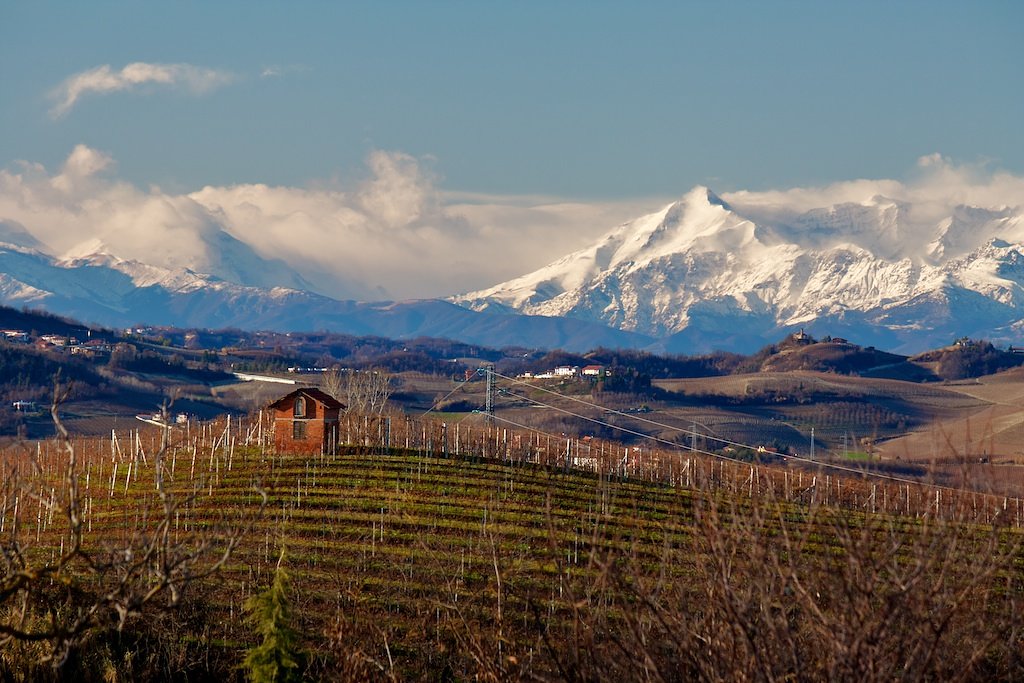 Travel Langhe  Wine Tours