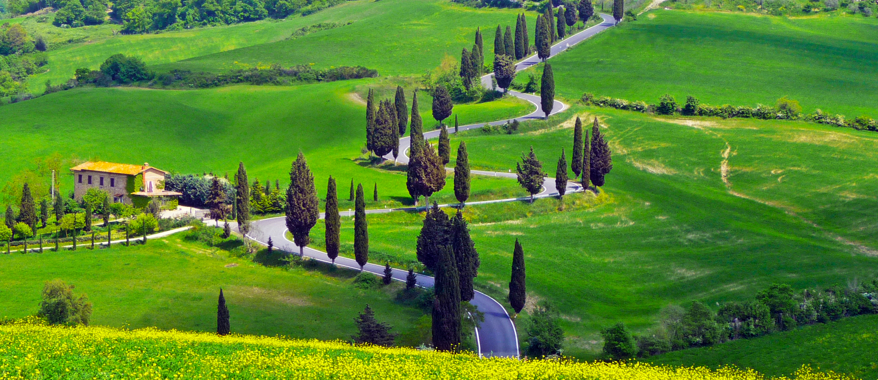 We Drive You Tuscany