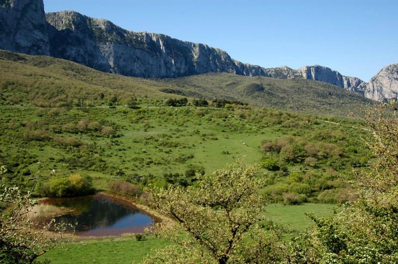 Riserva naturale orientata Bosco della Ficuzza, Rocca Busambra, Bosco del Cappelliere e Gorgo del Dr