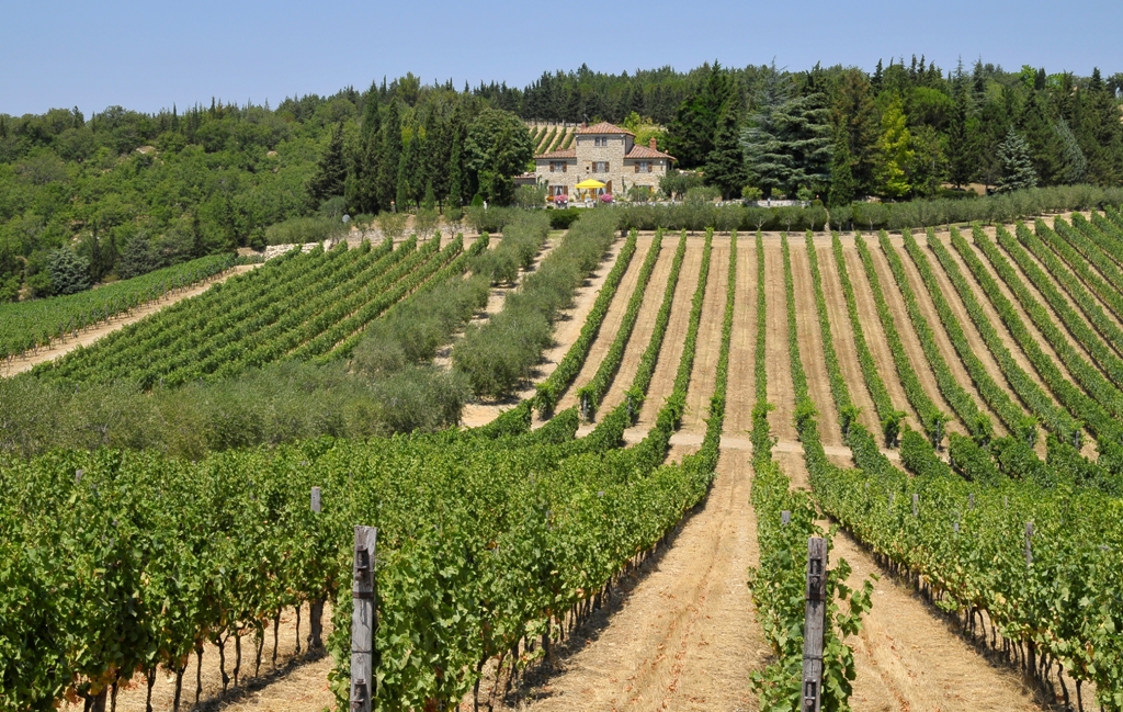 La Cantina di Casalvento