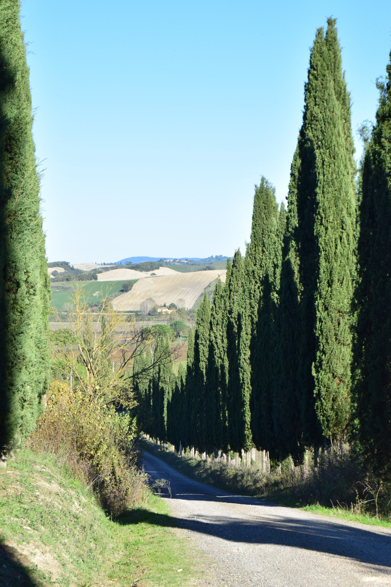 Pieve di Santa Innocenza a Piana