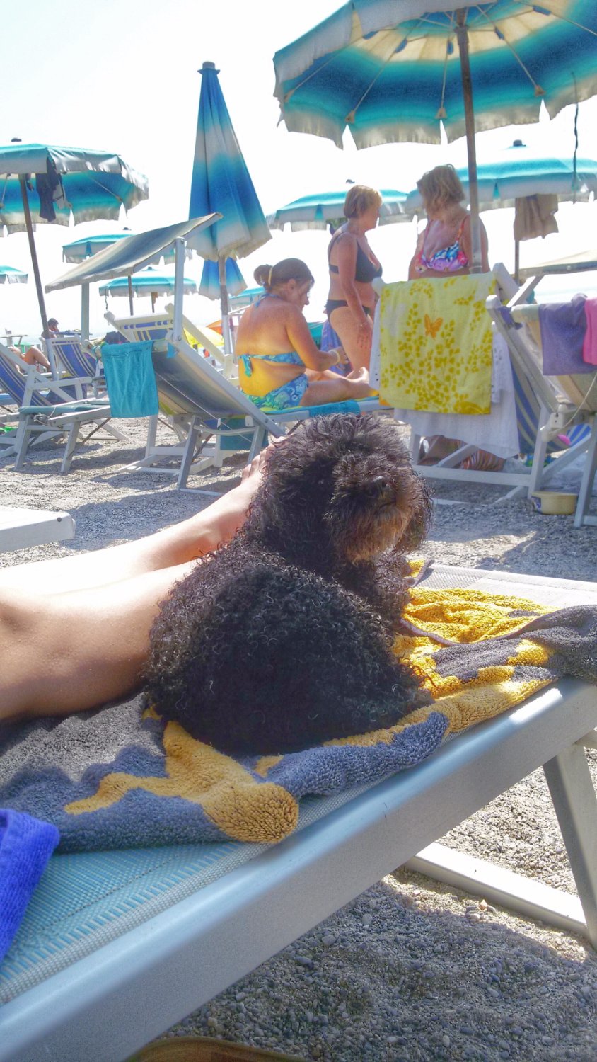 Spiaggia Ex Soggiorno Leonessa