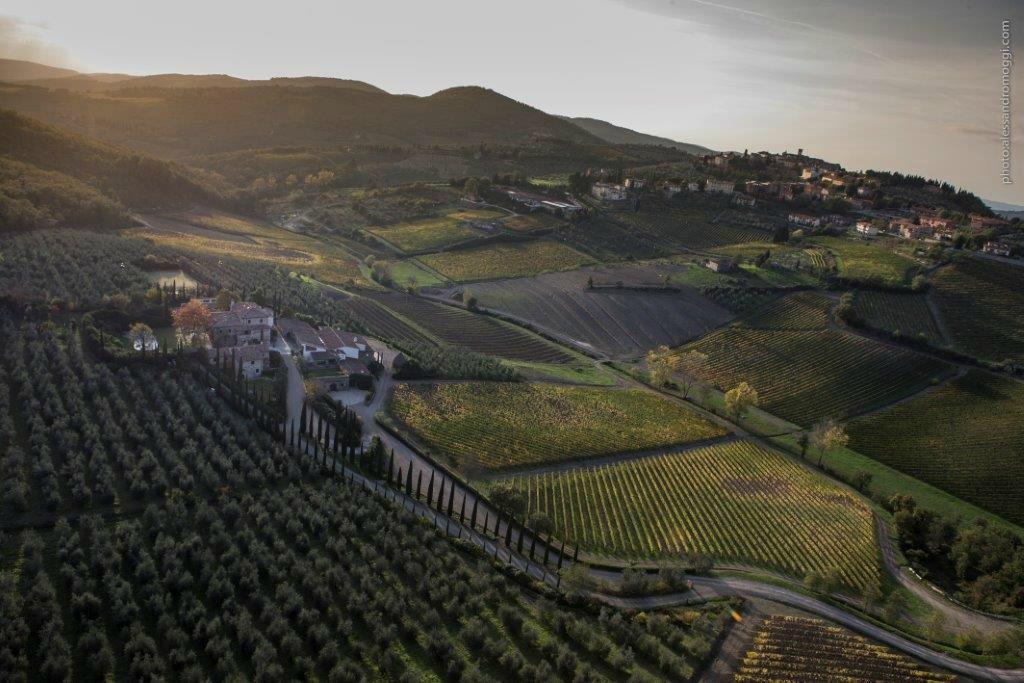 Azienda Agricola Colle Bereto