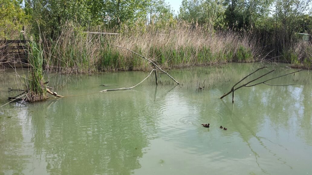 Parco della Piana (ANPIL - Podere la Querciola)