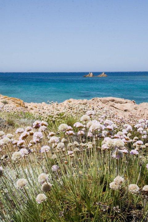 Spiaggia Cala Sarraina