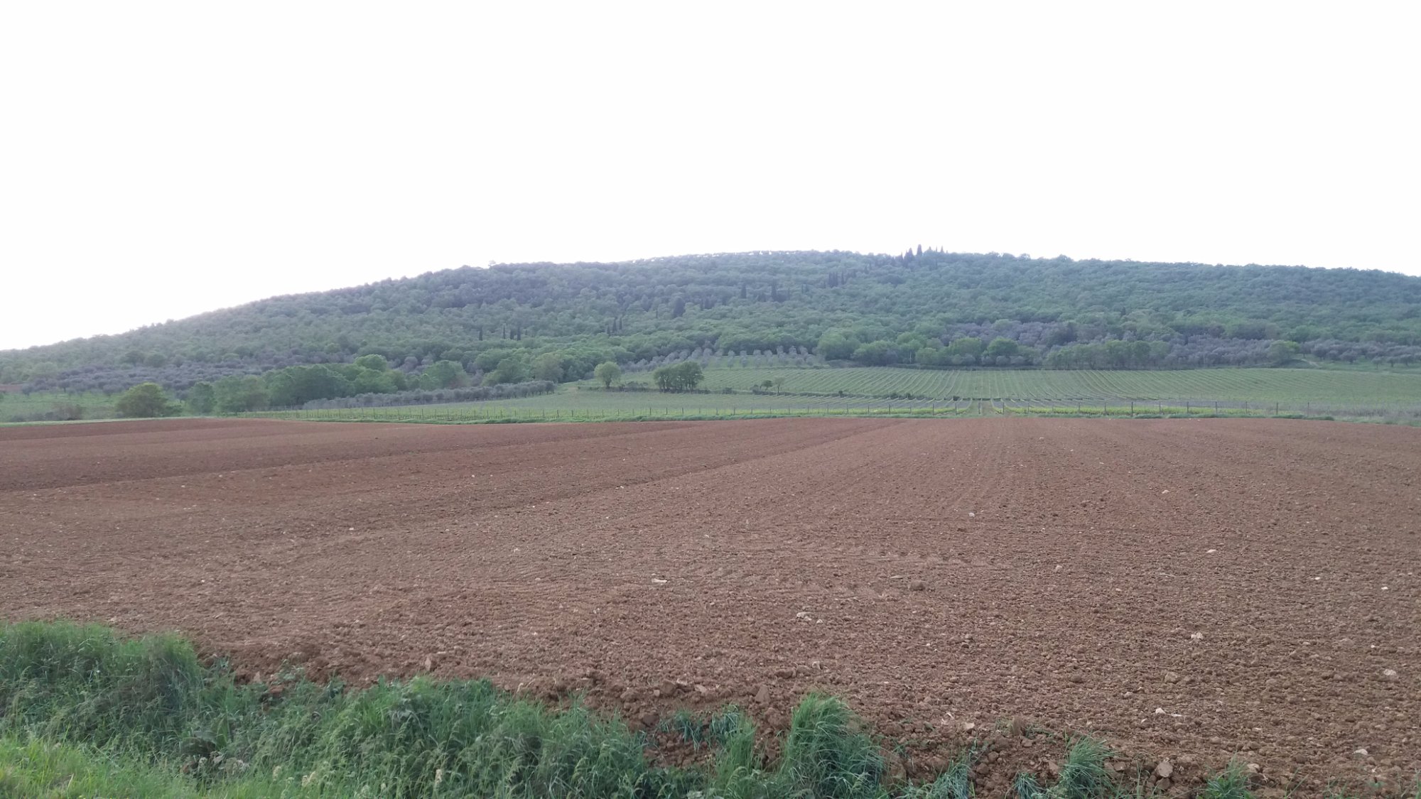 Mura e Torri del Borgo di Corciano