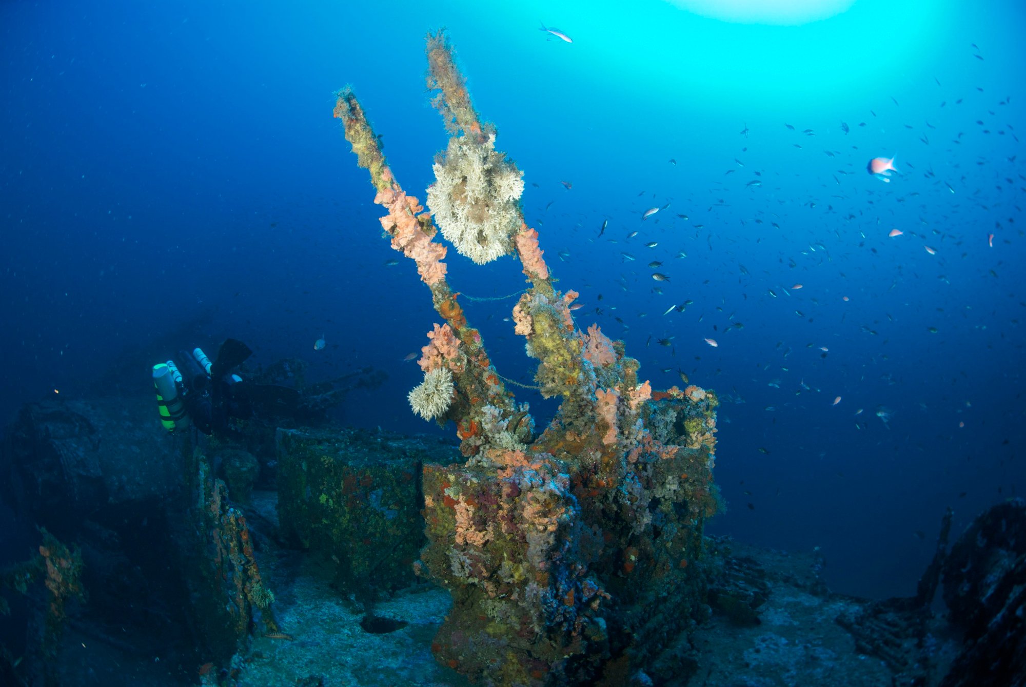 Mistral Diving Center -  Centro Sub Castelsardo