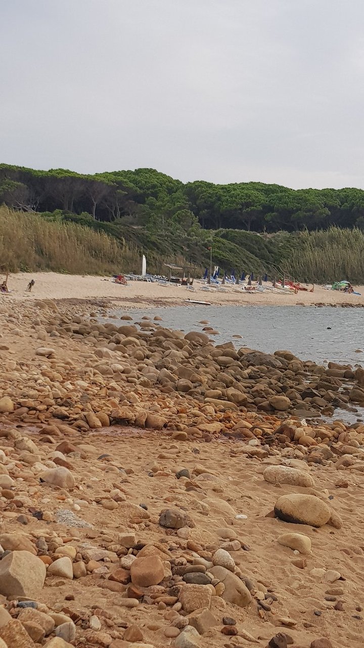 Spiaggia Cala Canneddi