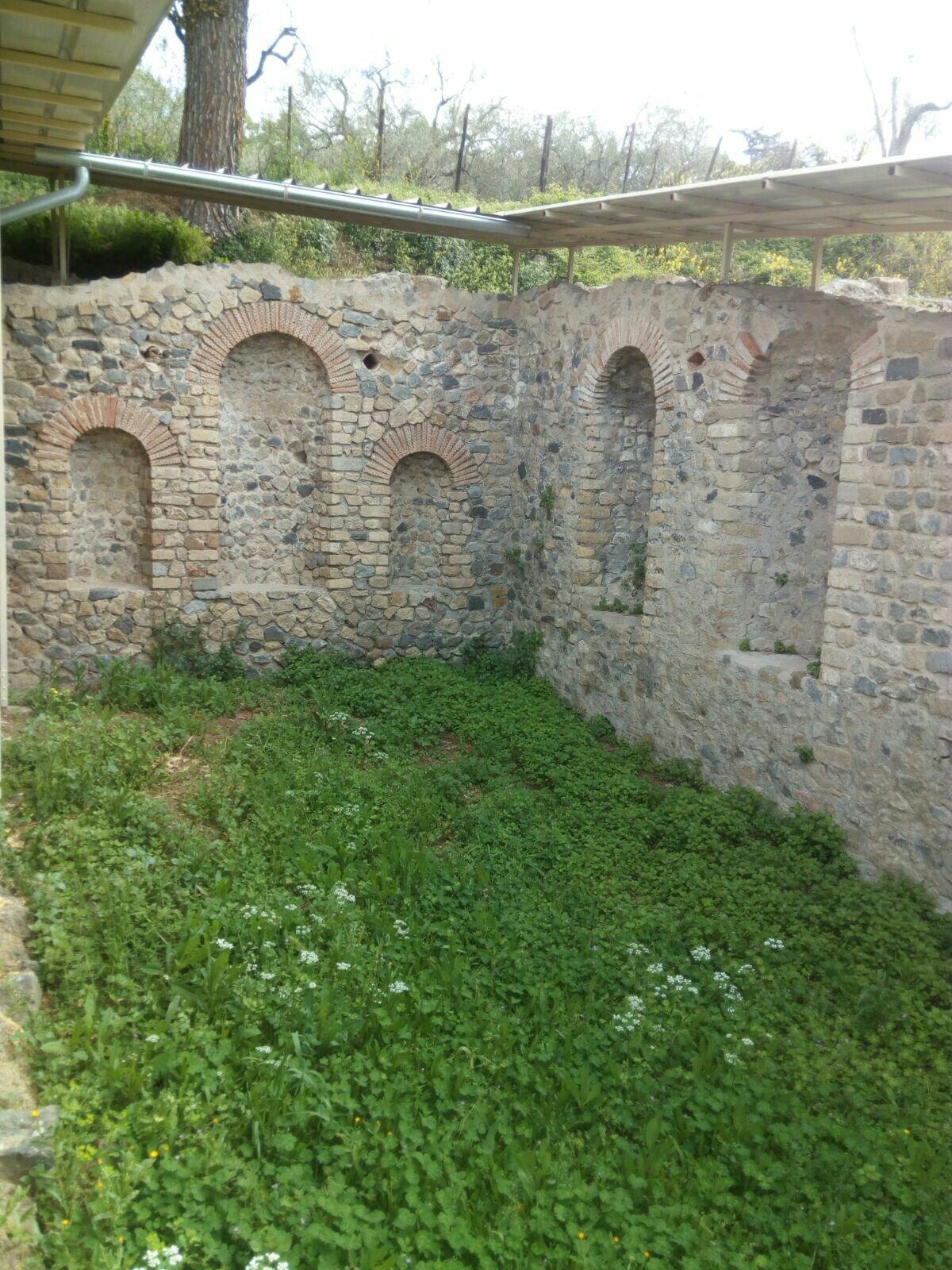 Area Archeologica di Poggio Moscini