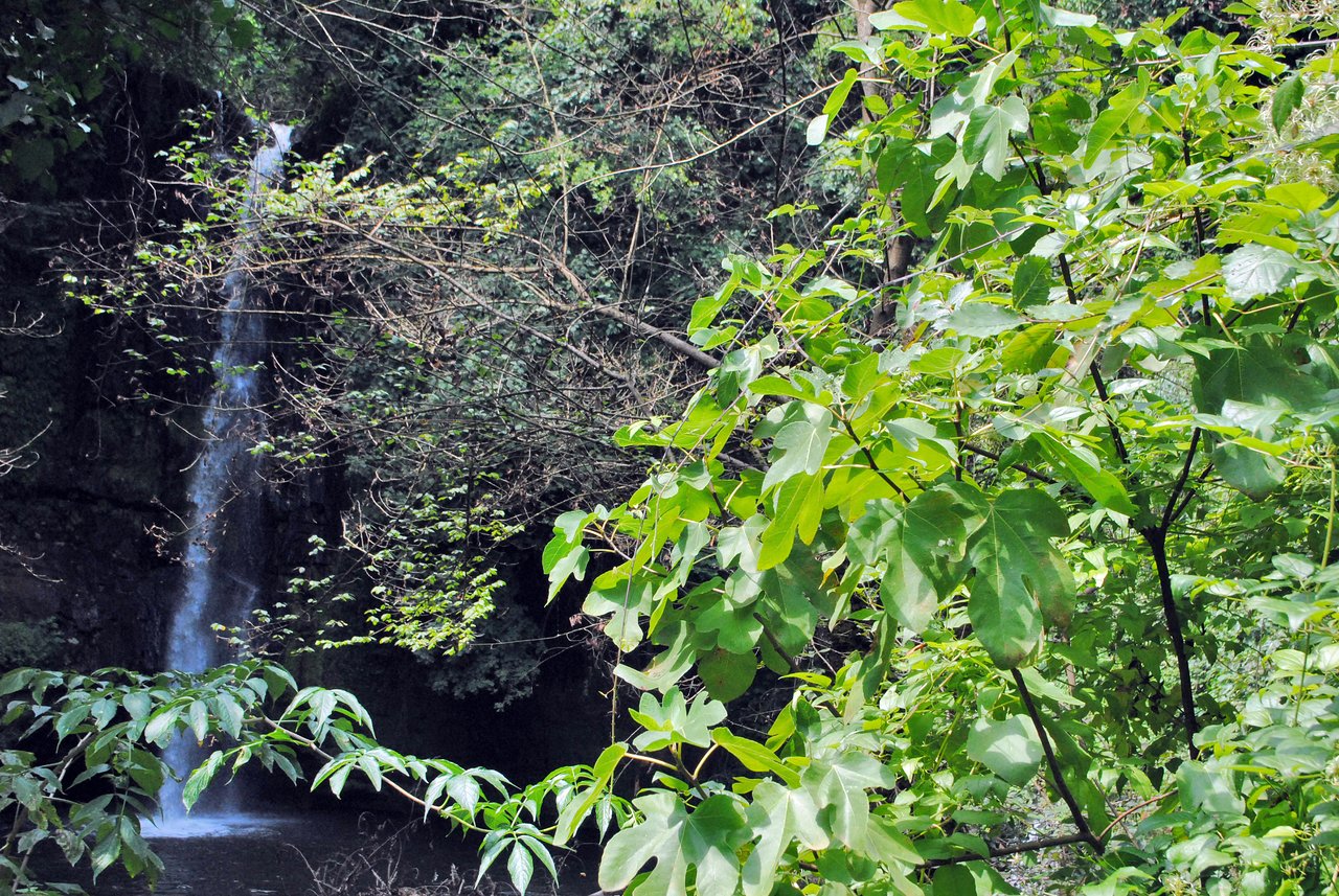 Cascata del Picchio