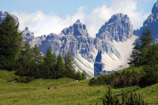 Parco Regionale delle Dolomiti Friulane