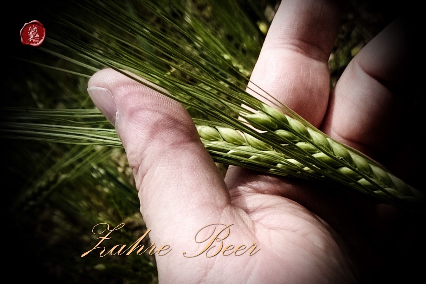 Zahre Beer