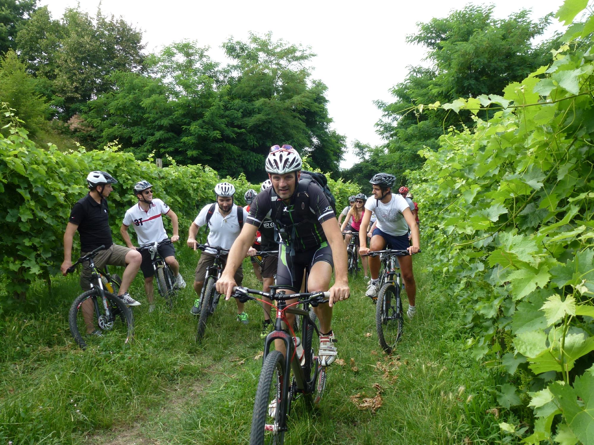 Bike Veneto - Noleggio, Escursioni e Tours in bicicletta