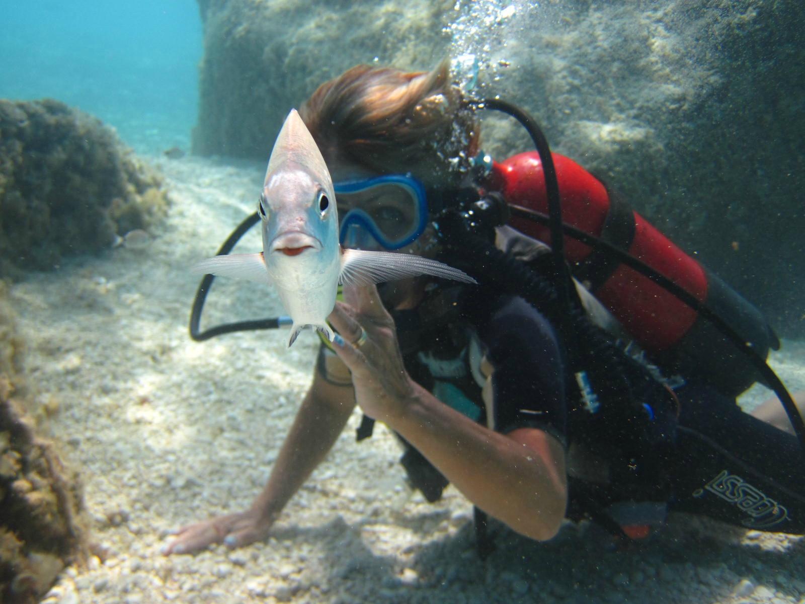 Diving Cala Mariolu