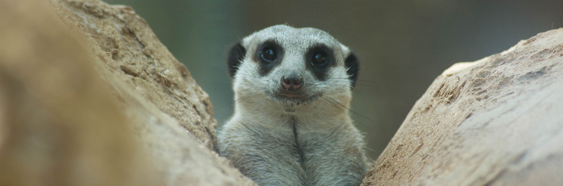 Bioparco di Sicilia