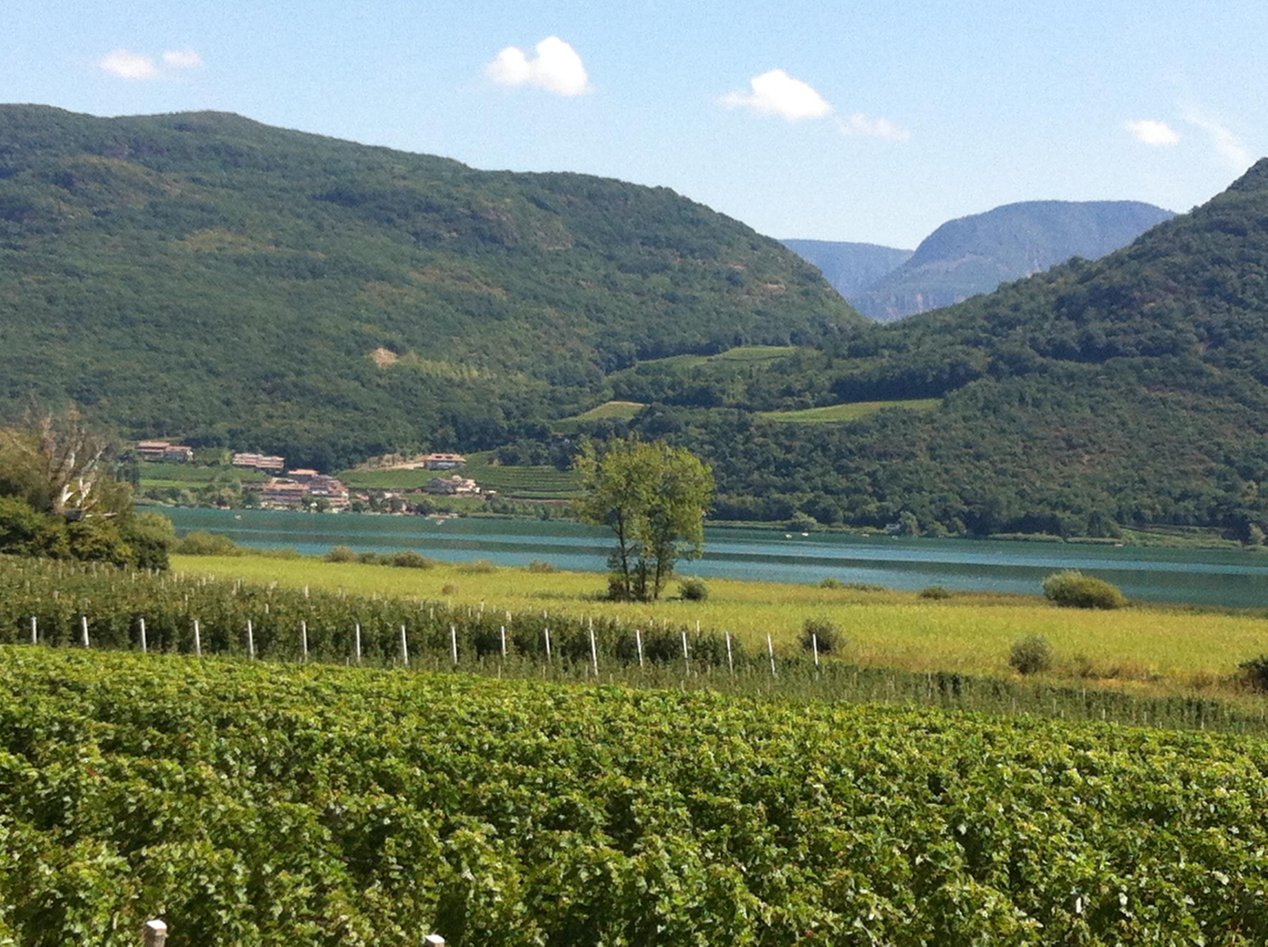 Lago di Caldaro