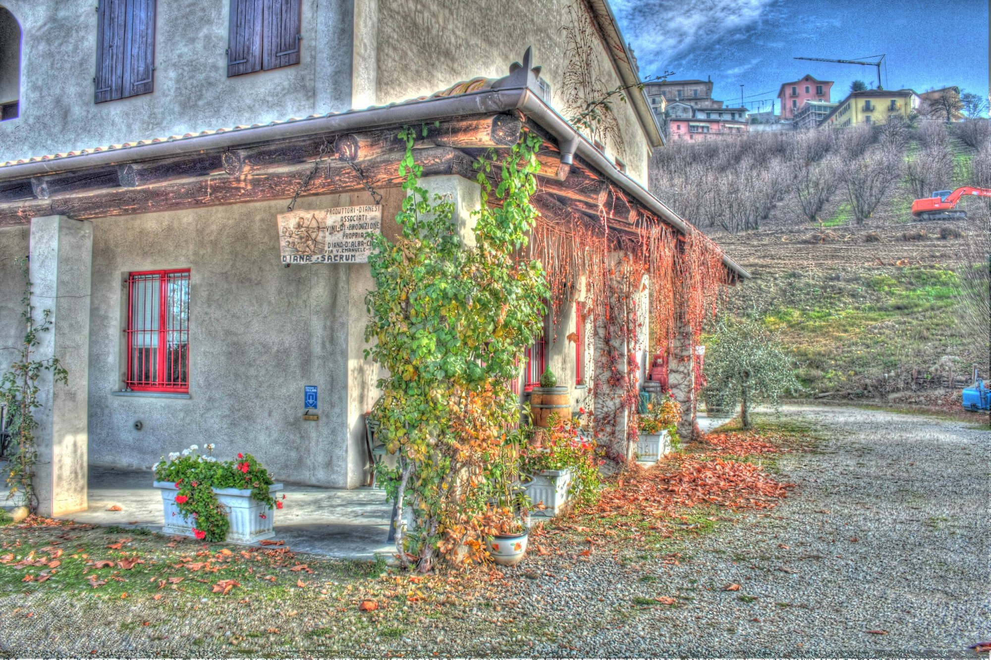 Azienda Agricola Cortino Produttori Dianesi