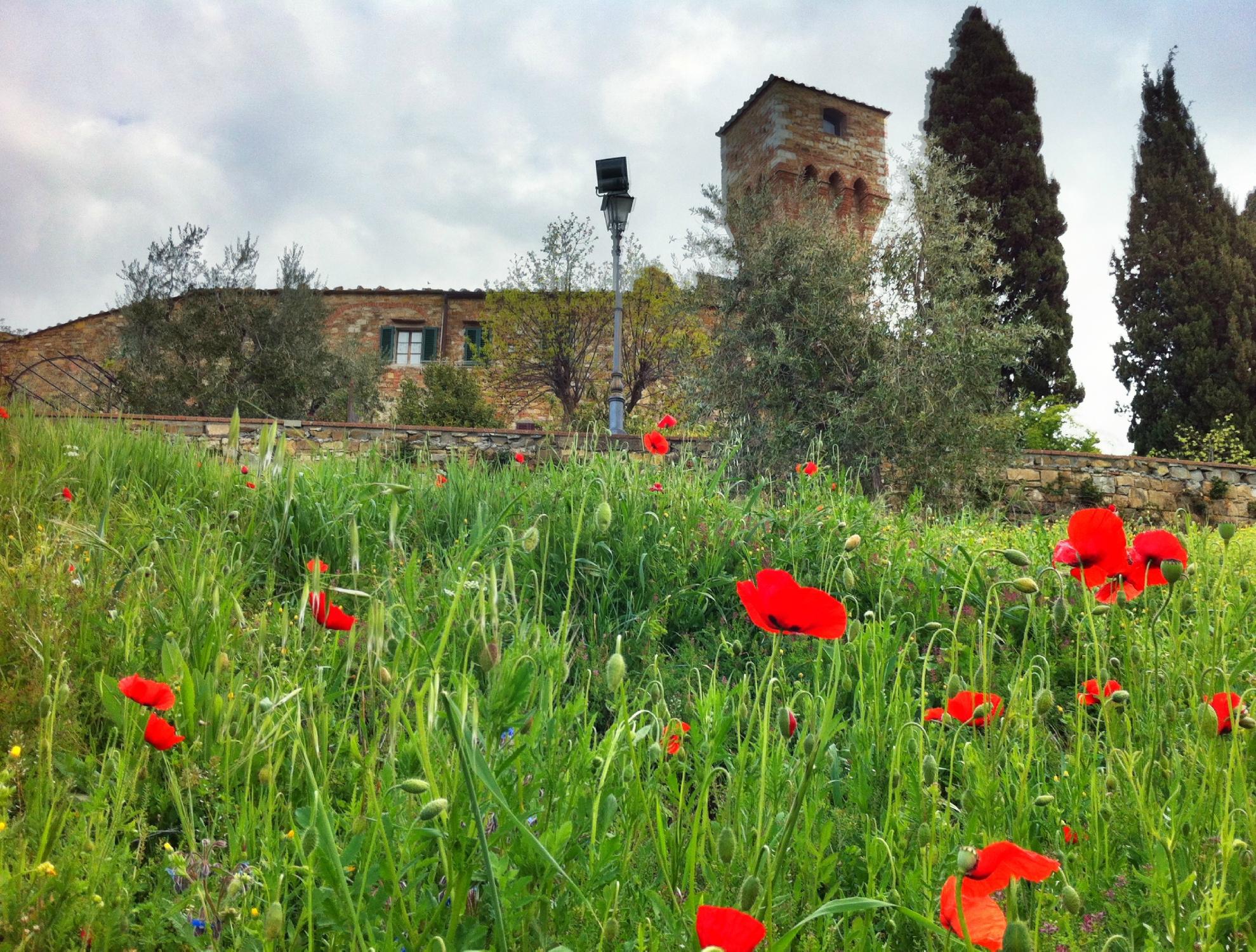 San Donato In Poggio