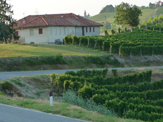 Azienda Agricola Brangero