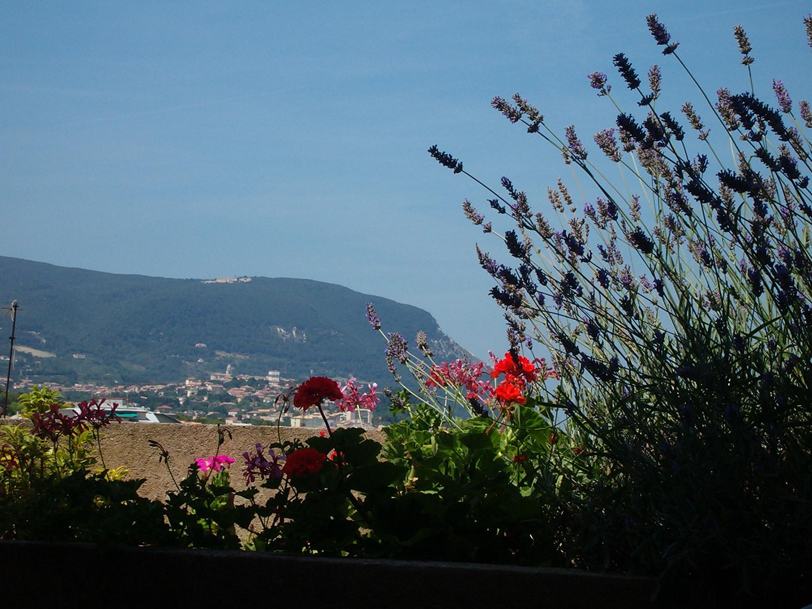 Teatro Alle Cave