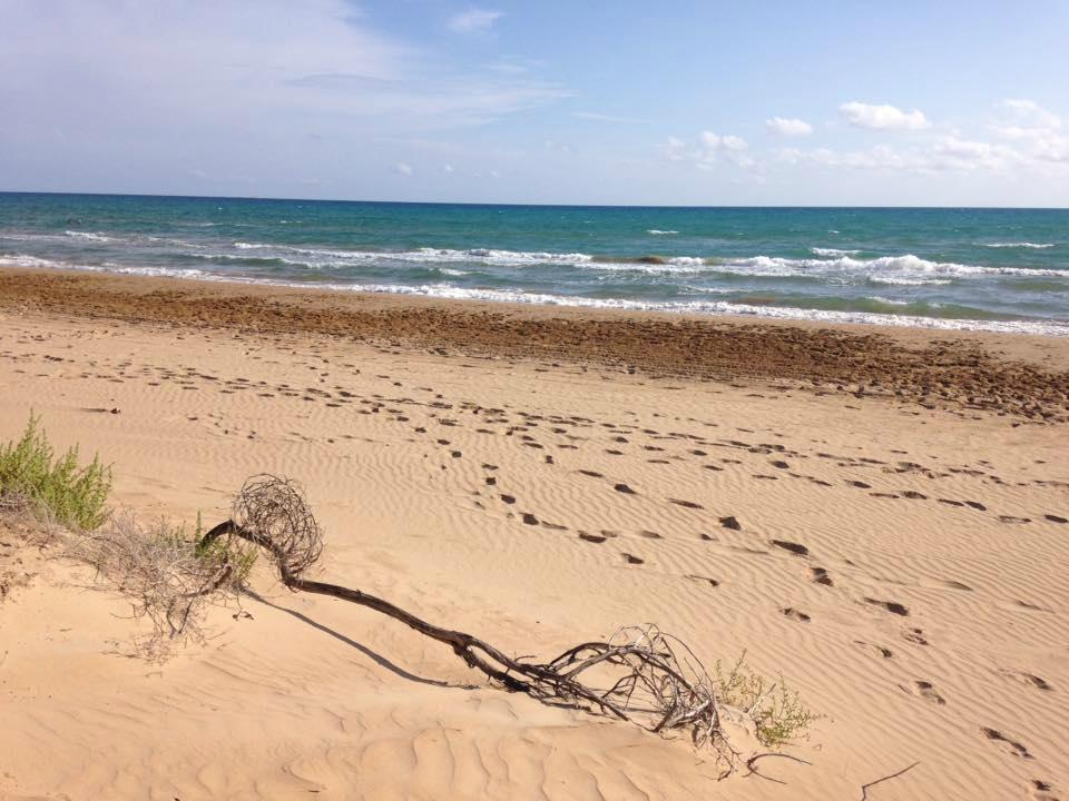 Spiaggia di Santa Maria del Focallo