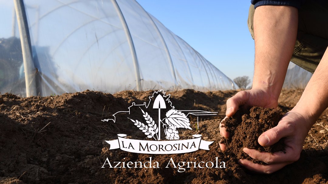 Azienda Agricola La Morosina