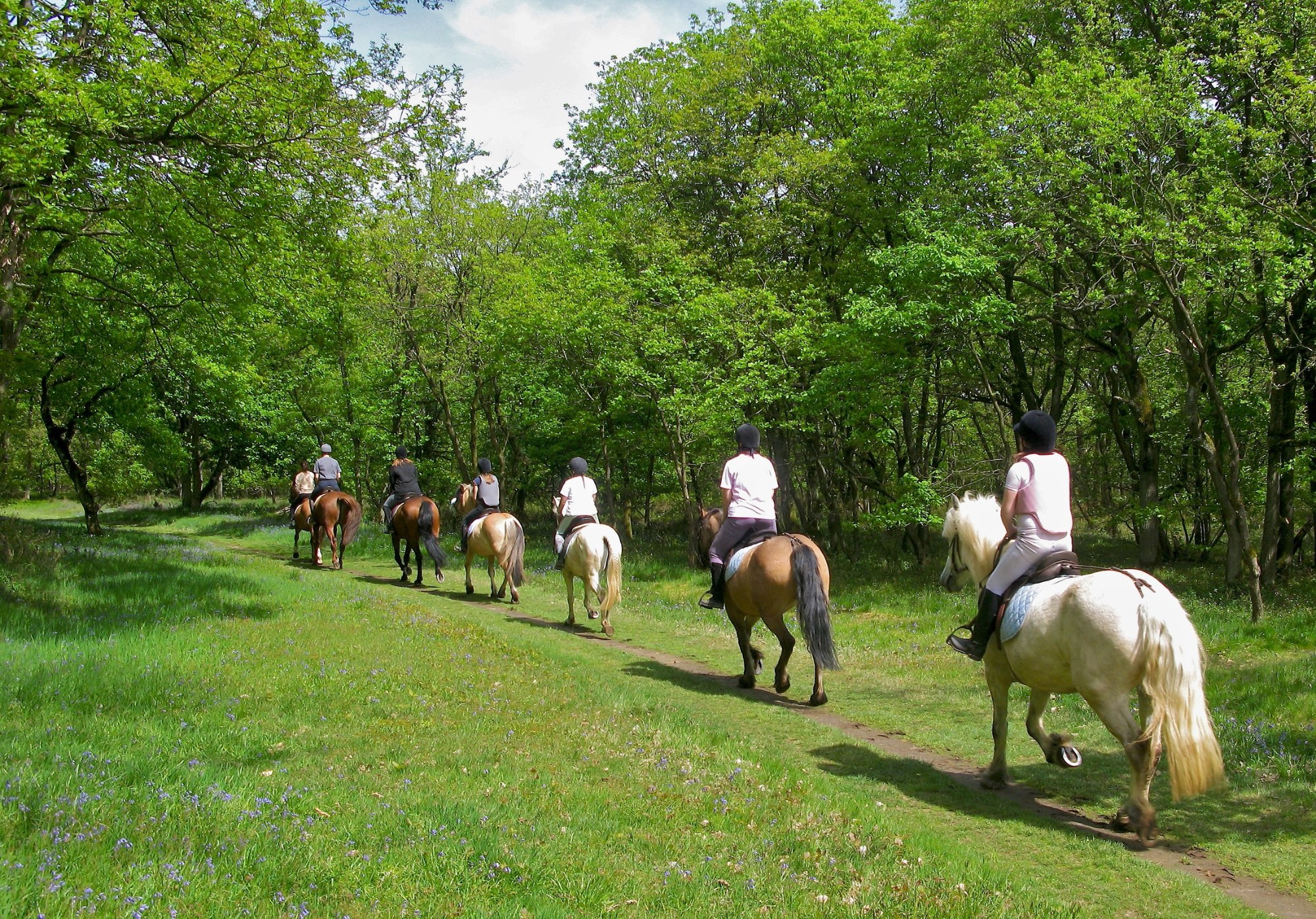 Maneggio La Marca Ranch