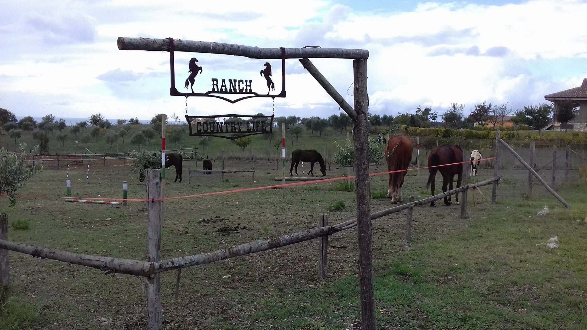 ASD Ranch Country Life