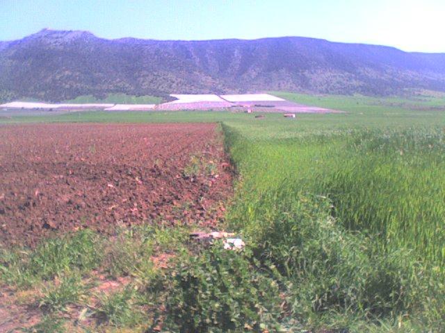 Area Archeologica di Castel Pagano