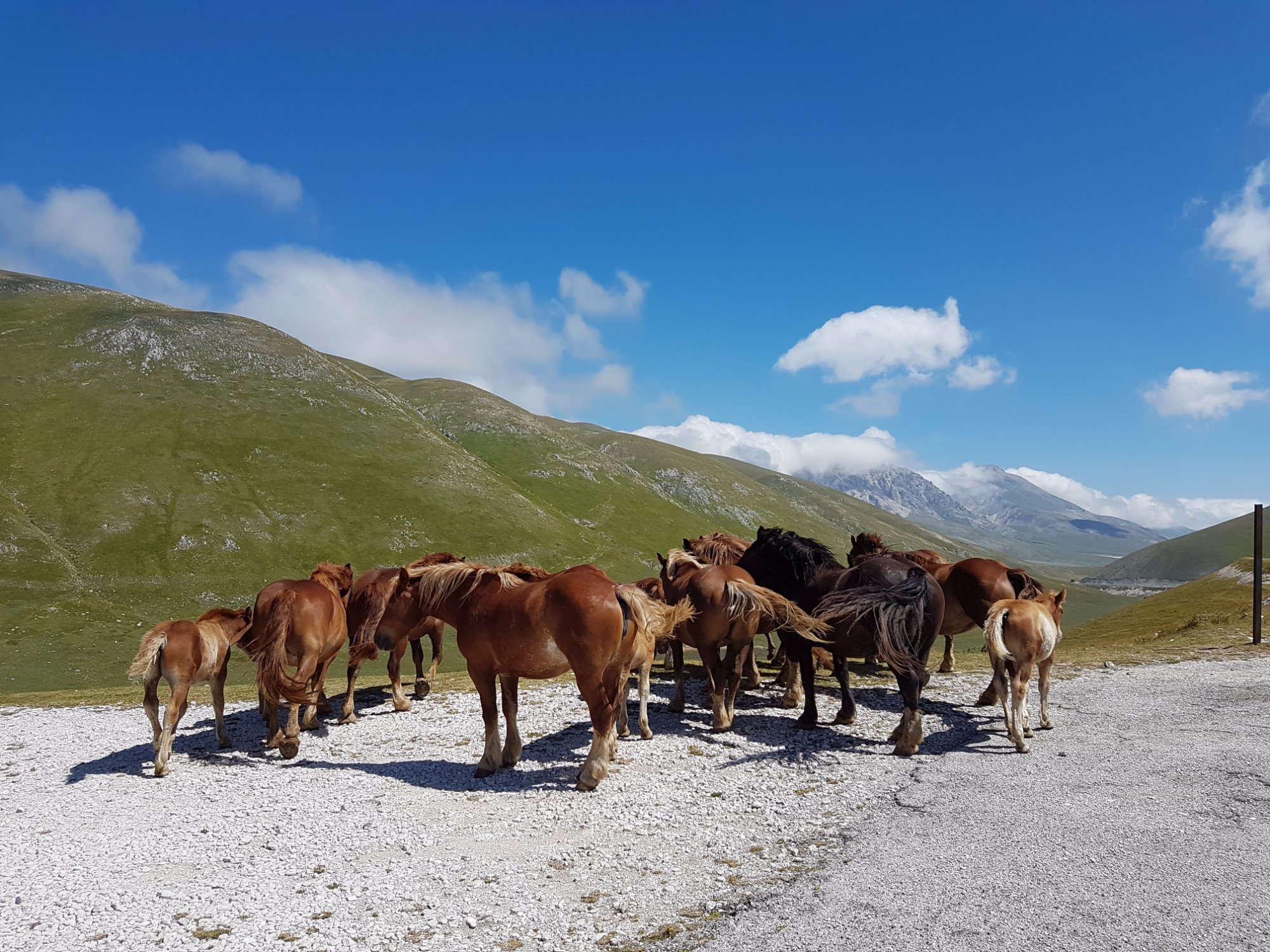 Campo Imperatore