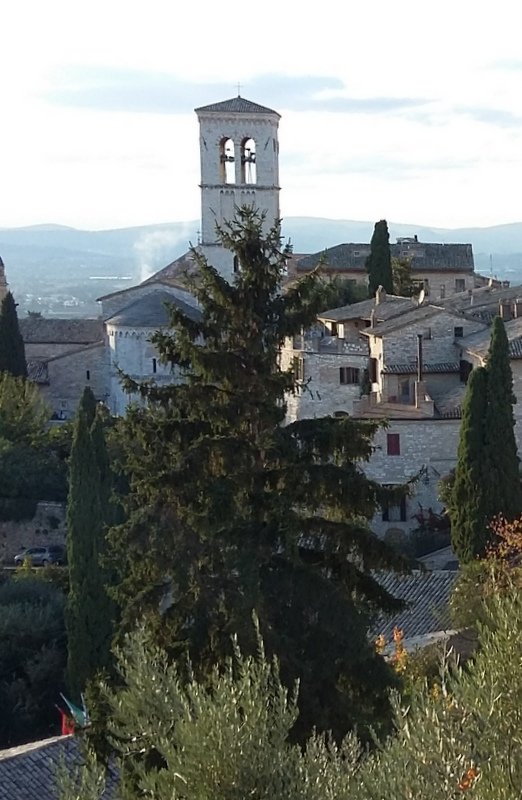 Parrocchia Santa Maria Maggiore - Frati Cappuccini Assisi